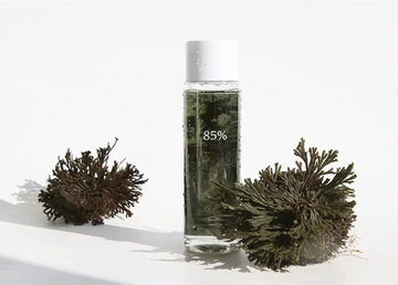 Dr. Althea Anastatica Toner 250ml - Hydratation Intense Rose de Jéricho