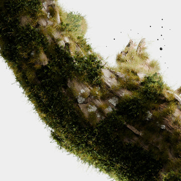 À l’origine de Port Originel